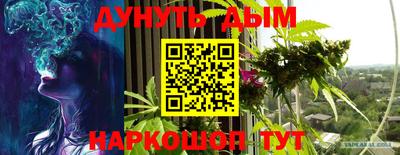 бошки Шелехов