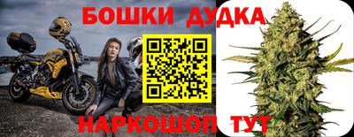 бошки Шелехов