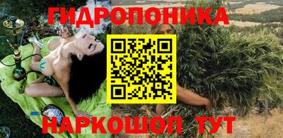 бошки Шелехов