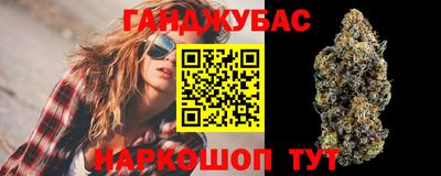шишки Шахты