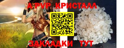 бошки Шелехов