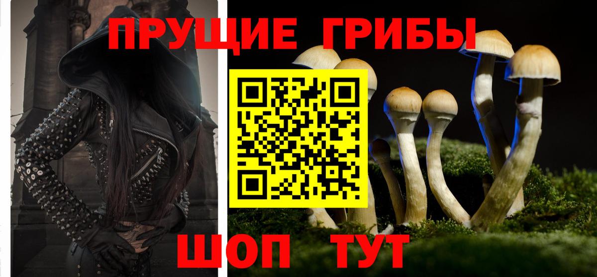 Александров  Галлюциногенные грибы ЛСД  Псилоцибиновые грибы Cubensis  купить   Вход с VPN 