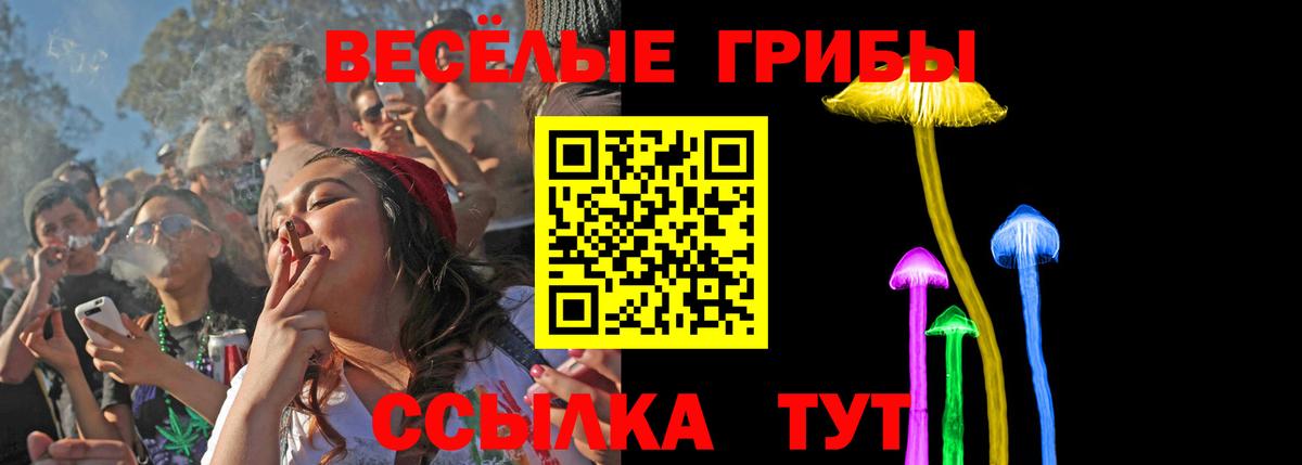 Псилоцибиновые грибы Psilocybe Александров