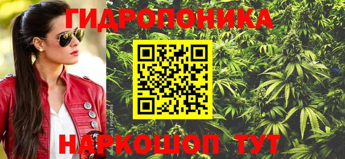 Александров  Бошки Шишки конопля  Бошки марихуана марихуана  Бошки Шишки SATIVA & INDICA  Вход с VPN 